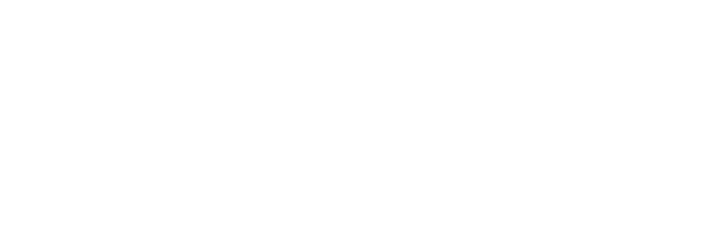 Bravex.Aero